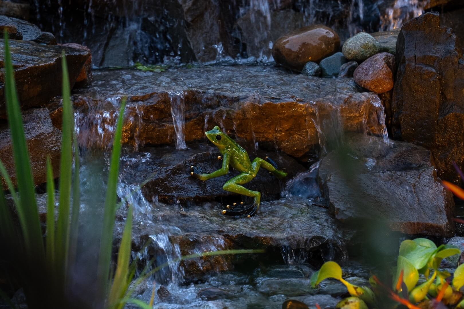 Personalized pond GTA