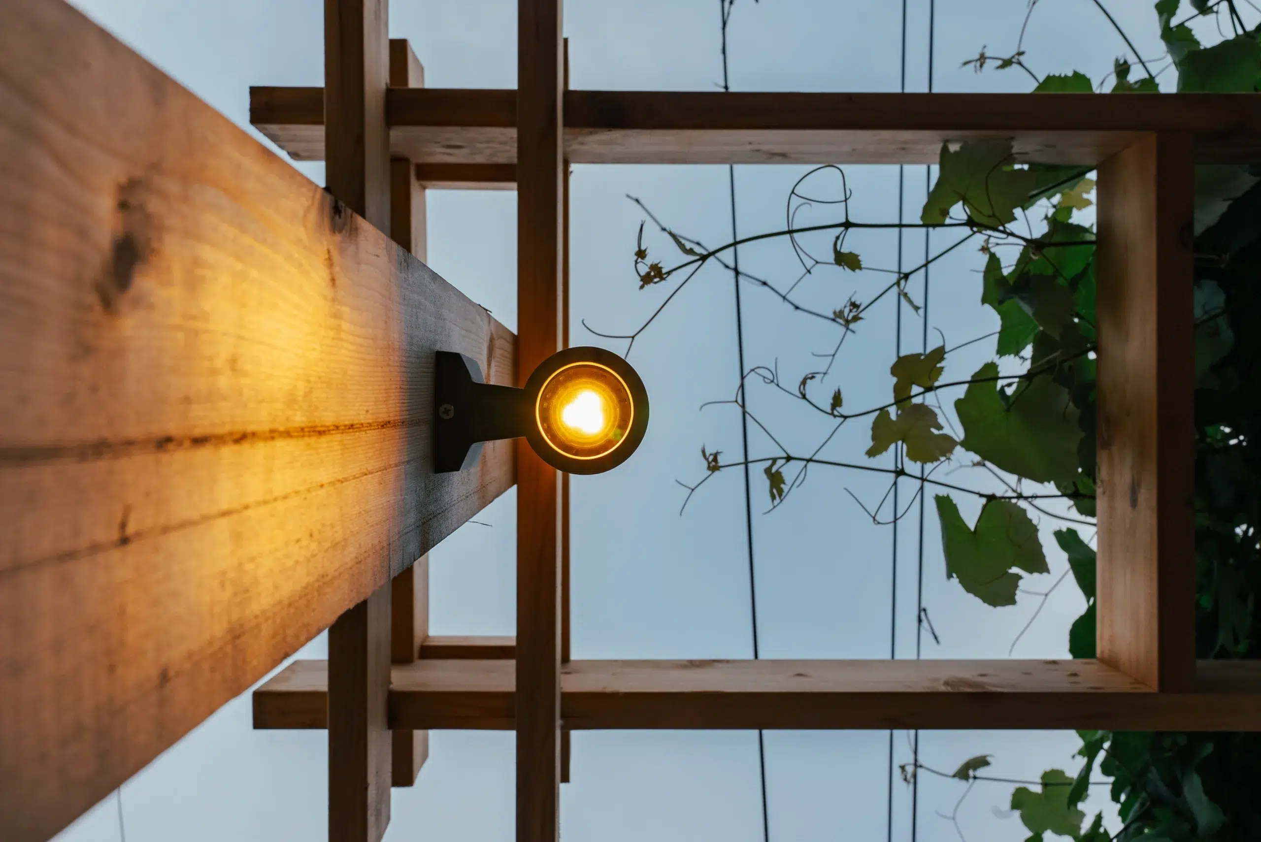 landscape design with backyard lighting scaled